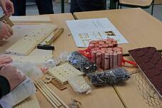 Bau von Insektenhotels