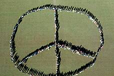 Die Schulgemeinschaft als Peace-Zeichen